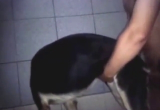 Dude is going to fuck a black and white dog