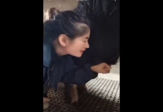 Chinese hottie sucking off a pig's nice dick