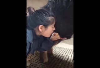 Chinese hottie sucking off a pig's nice dick