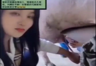 Crazy hot pig porno with an Asian sucker slut