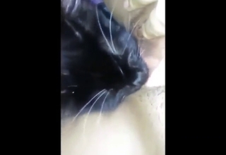 Animal with sexy fur is ready to lick a hot vag