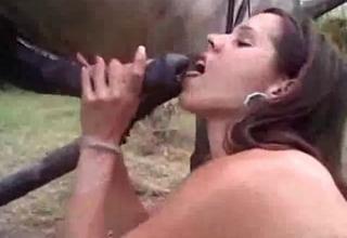 Mare with big dick gets a very nice blowjob