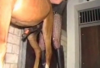 Sweet animal sex action
