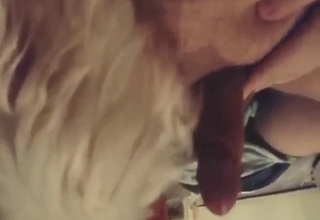 Dog cannot wait to lick his juicy penis today