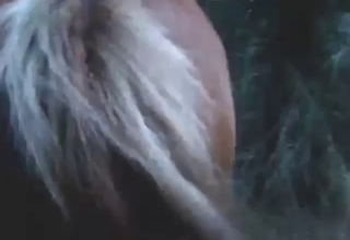 Guy is going to set his sights on mare's huge vag