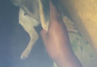Animal playing around with a fingering guy