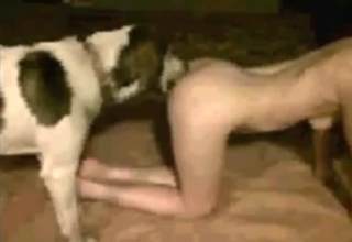 Girl is going to go on all fours for hard dick dog