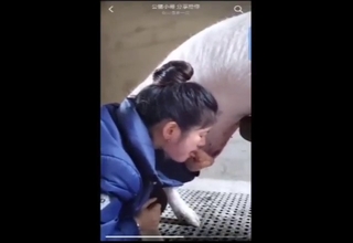 Pig blowjob video with a Chinese hottie sucking