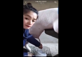 Pig blowjob video with a Chinese hottie sucking