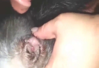 Dude fucks his dog because it begged for it