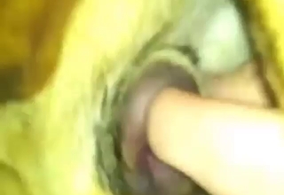 Dude is rubbing and fingering real dog pussy