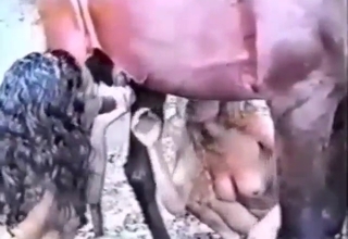 Horse sex, zoo XXX, all the best orgasms to get