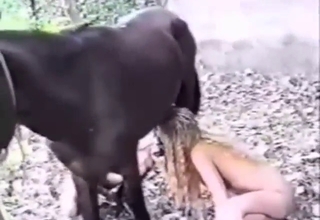 Horse sex, zoo XXX, all the best orgasms to get