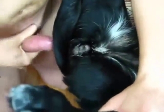 Big cock alpha male fucking a sexy doggo