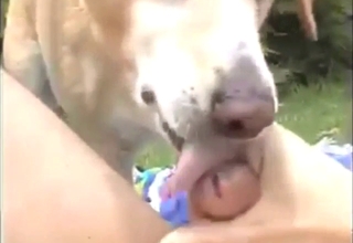 Backyard fantasy with a dog licking that dick