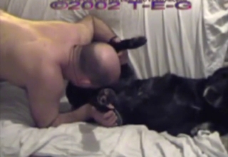 Canine fucking for a tight booty zoophile