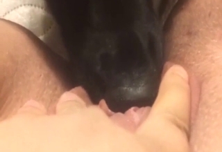 Rimjob from a Labrador and it's awesome to see