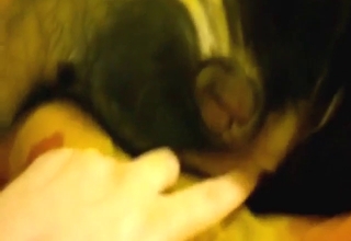 Dog's hot pussy getting teased in a POV video