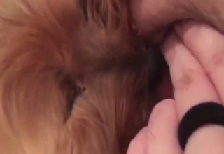 Girl rubbing her clit during a dog's pussy lick