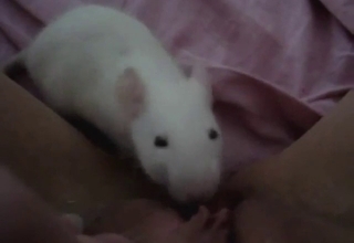 Slutty zoophilic lady gives rat free rein to lick