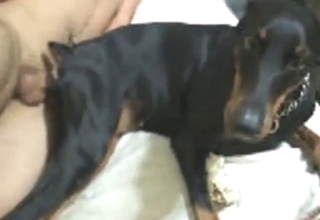 Rotty's tight hole gets fucked from the side