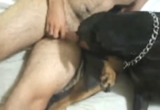 Rotty's tight hole gets fucked from the side