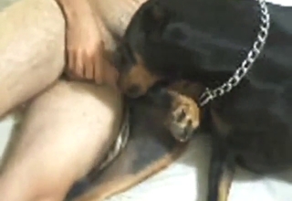 Rotty's tight hole gets fucked from the side