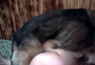 Amateur homemade animality sex with a dog