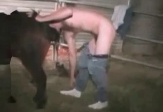 Farm sex with a gorgeous pony
