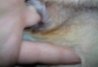 Puppy in the stunning anal bestiality