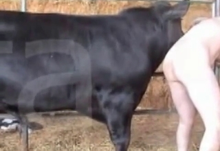 Incredibly sexy farm animality XXX
