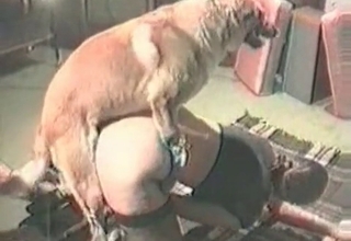 Doggy is enjoying her hungry cunt