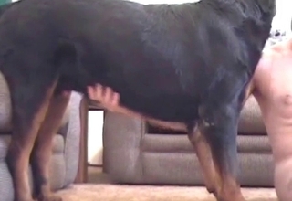 She wants to gulp dog semen right now