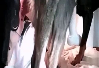 Perverted female enjoys hardcore animal sex