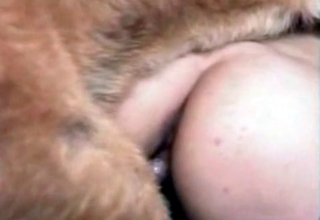 This dog has incredibly massive boner
