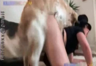 Awesome doggy likes dirty bestiality sex