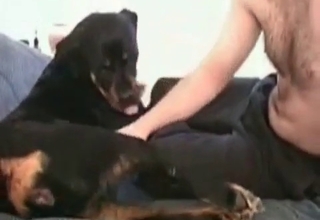 Exploring my lovely black doggy