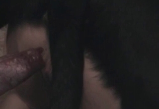 Doggy bestiality XXX with my lusty wife