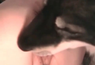 Doggy and a hot MILF have nasty zoo sex