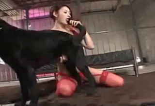Black doggy gets stimulated by zoophile