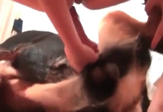Tyke brutally drills my girlfriend