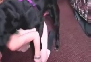 Sexy female fucked by black dog in amateur animality