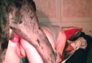 Nice amateur bestiality with a stray