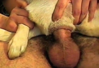 Awesome anal sex with a sweet doggy
