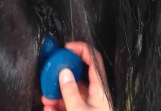 Horse gets nicely stimulated in the barn