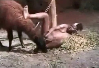 Ebony zoophile gets banged by farm animal
